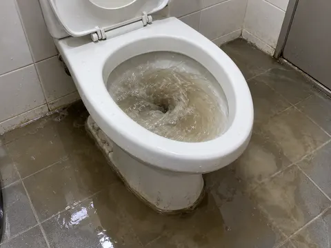 변기·소변기 작업 사진